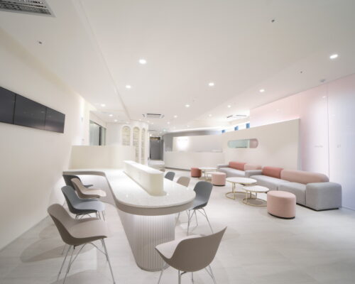Hestia Women’s Clinic – Introduction to Korean Women’s Clinics