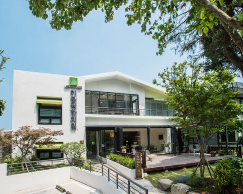 LEE MOON WON Korean Medicine Clinic – Specialized Hair Loss Treatment Center in Korea