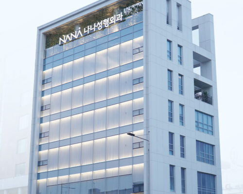 NANA Plastic Surgery – Korean Plastic Surgery Insights