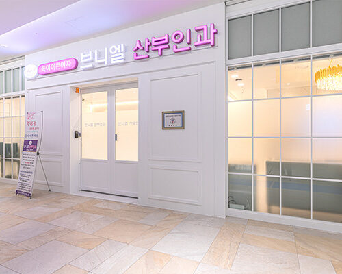 Peniel Women’s Clinic – Premium Female Rejuvenation and Health Care in Korea