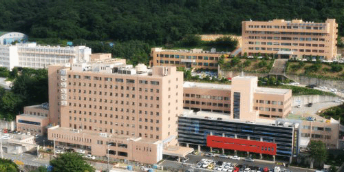 Dong-Eui Medical Center: A Premier Korean Traditional Medicine Hospital in Busan