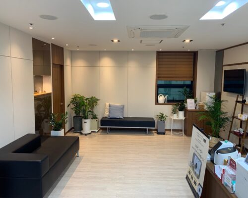 Dr. Mindle’s Korean Medicine Clinic – A Trusted Center for Traditional Korean Medicine and Comprehensive Herbal Treatments