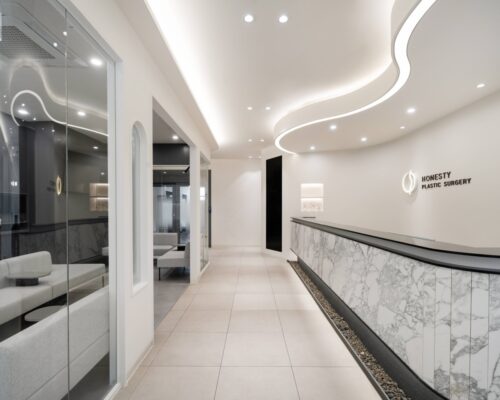Honesty Plastic Surgery, Premium Clinic in Sinsa, Korea
