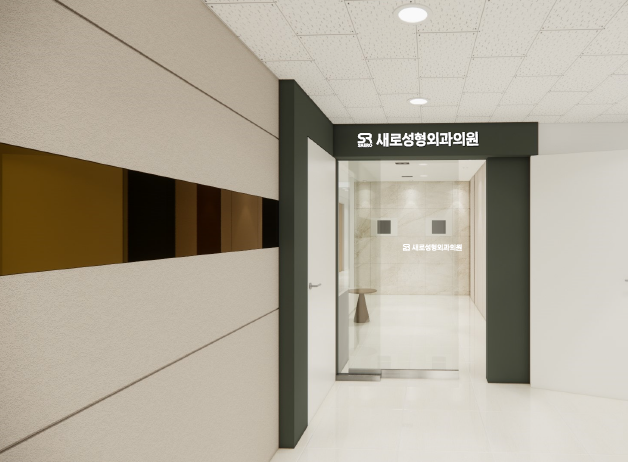 Saero Plastic Surgery