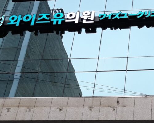 Wise You Clinic: A Premium Korean Clinic for Rhinoplasty and Anti-Aging Treatments
