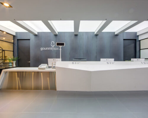 Gounmi Dermatology Korea Clinic Features