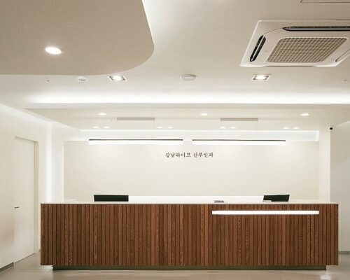 Gangnam Life OB/GYN: Korea’s Pioneering OB/GYN
