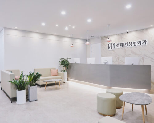 Pleasure Plastic Surgery Korea: Expert Results
