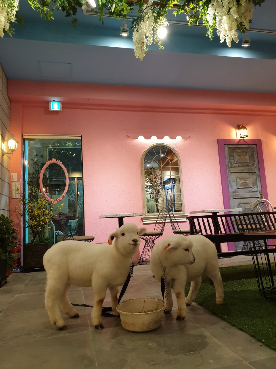 thanks nature cafe