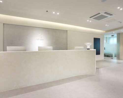 Realee Plastic Surgery: Proven Revision Experts in Korea