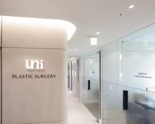 Uni Plastic Surgery: Korea’s Exclusive