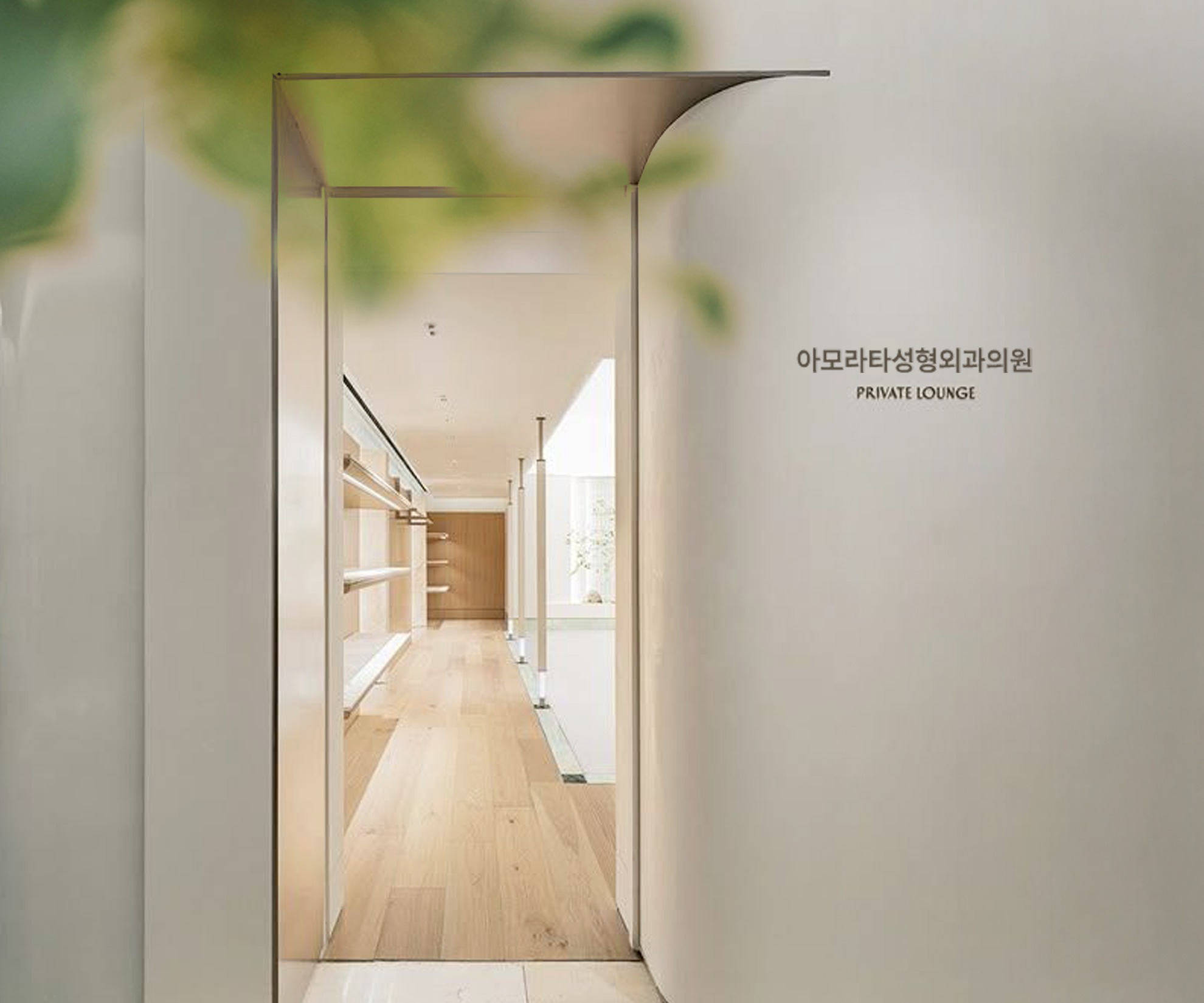 amorata plastic surgery