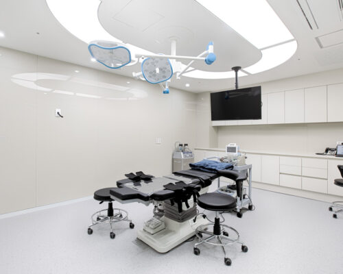 Anew Plastic Surgery Korea: The Ultimate Guide