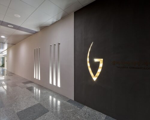 Leading the Way: Galleria Dermatology Gwanggyo, Korea