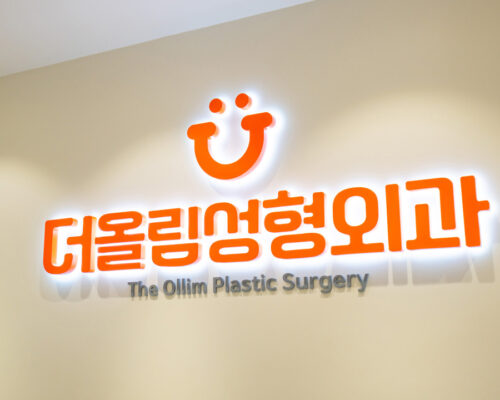 Ollim Plastic Surgery Korea | Expert Care