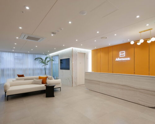 Afternoon Plastic Surgery Korea – Expert Guide
