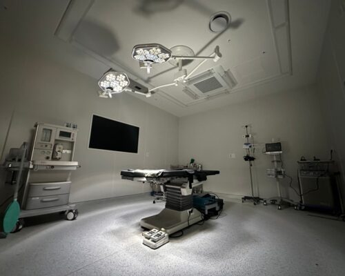 Ultimate Guide to Songdo Leaders Plastic Surgery Korea