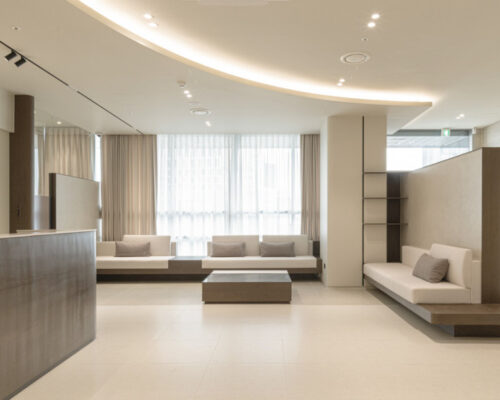 Begin Plastic Surgery Korea Ultimate Info Guide