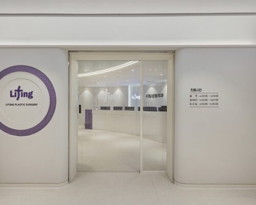 Liting Plastic Surgery Korea Best Lifting Guide