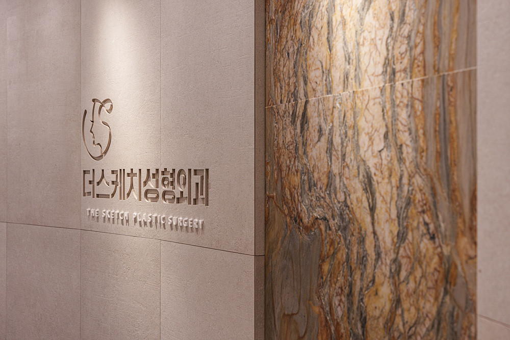 The Sketch Plastic Surgery