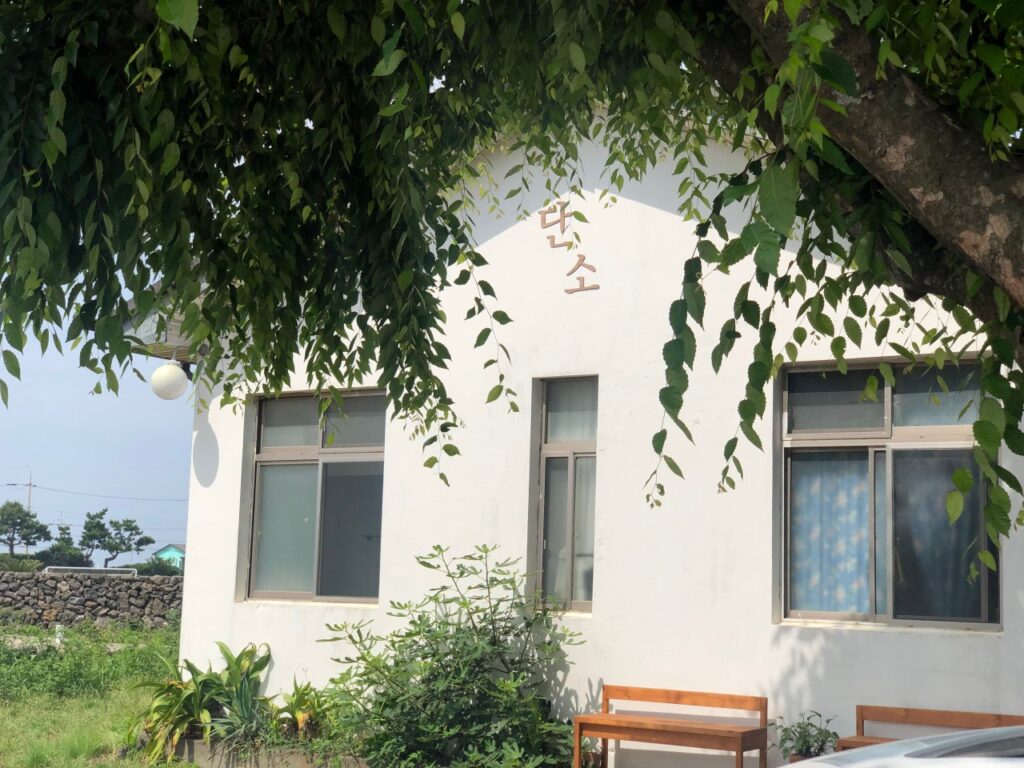 Danso Korea Ultimate Jeju Local Dining Guide