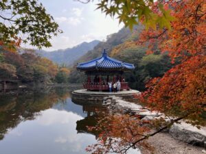 Naejangsan National Park: Korea Fall Foliage Guide 2026