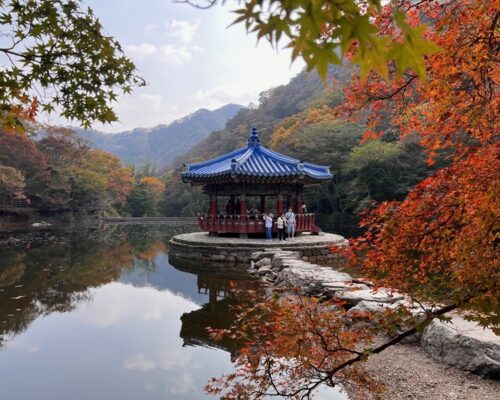 Naejangsan National Park: Korea Fall Foliage Guide 2026
