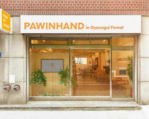 Pawinhand Gyeongui Forest: Seoul Rescue Dog Adoption Guide